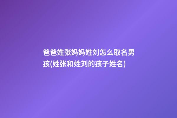爸爸姓张妈妈姓刘怎么取名男孩(姓张和姓刘的孩子姓名)
