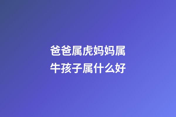 爸爸属虎妈妈属牛孩子属什么好