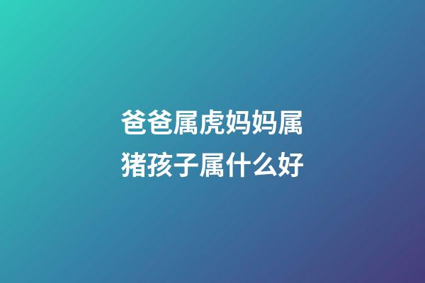 爸爸属虎妈妈属猪孩子属什么好