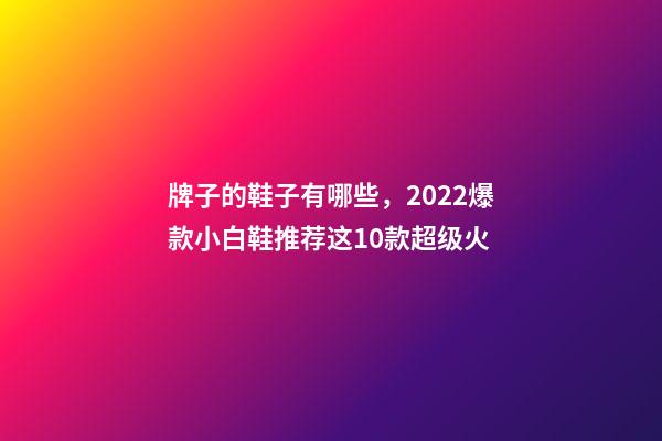 牌子的鞋子有哪些，2022爆款小白鞋推荐这10款超级火-第1张-观点-玄机派