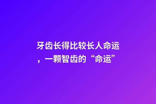 牙齿长得比较长人命运，一颗智齿的“命运”-第1张-观点-玄机派