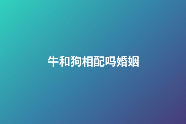 牛和狗相配吗婚姻（女狗男牛属相婚配好吗）-第1张-星座运势-玄机派