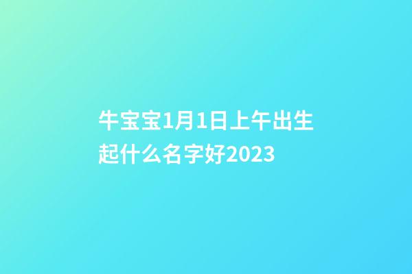 牛宝宝1月1日上午出生起什么名字好2023