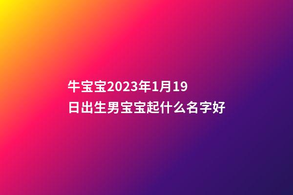 牛宝宝2023年1月19日出生男宝宝起什么名字好