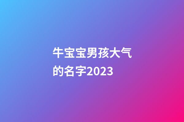 牛宝宝男孩大气的名字2023