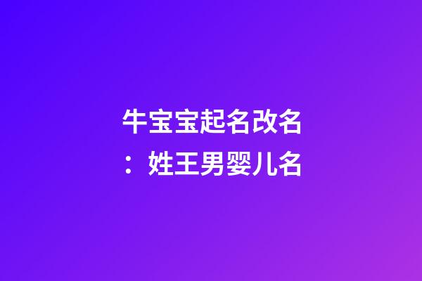 牛宝宝起名改名：姓王男婴儿名