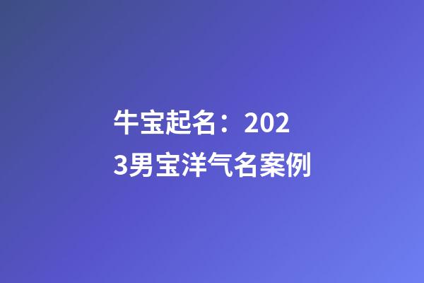 牛宝起名：2023男宝洋气名案例