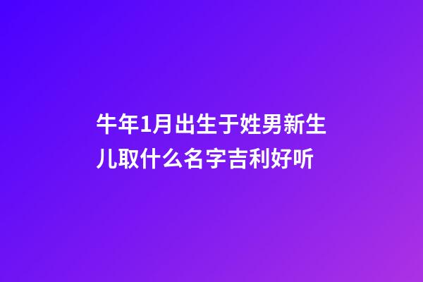牛年1月出生于姓男新生儿取什么名字吉利好听