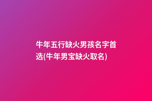 牛年五行缺火男孩名字首选(牛年男宝缺火取名)