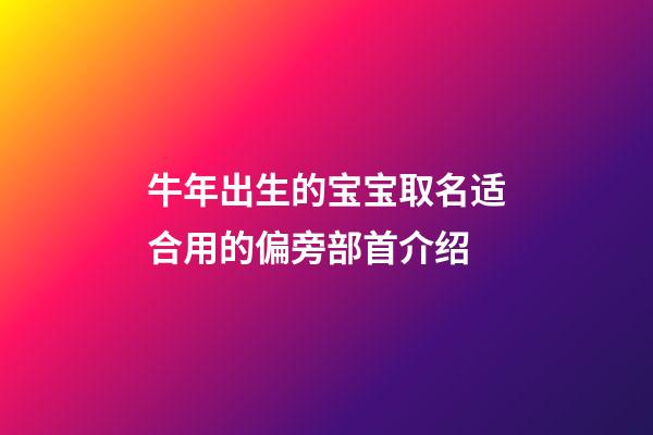 牛年出生的宝宝取名适合用的偏旁部首介绍