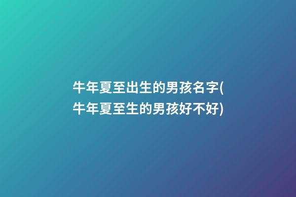 牛年夏至出生的男孩名字(牛年夏至生的男孩好不好)