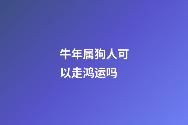 牛年属狗人可以走鸿运吗