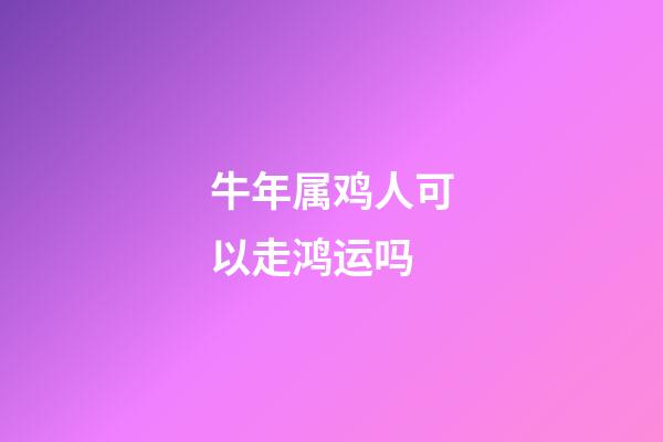 牛年属鸡人可以走鸿运吗
