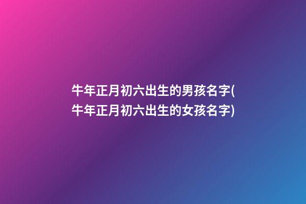 牛年正月初六出生的男孩名字(牛年正月初六出生的女孩名字)