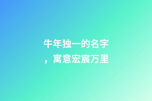 牛年独一的名字，寓意宏宸万里