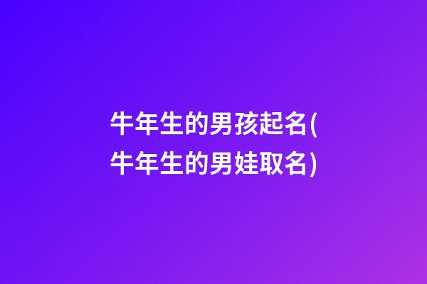 牛年生的男孩起名(牛年生的男娃取名)