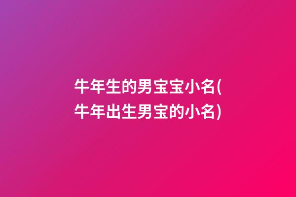 牛年生的男宝宝小名(牛年出生男宝的小名)