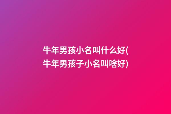 牛年男孩小名叫什么好(牛年男孩子小名叫啥好)