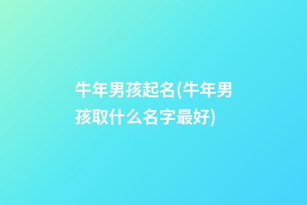 牛年男孩起名(牛年男孩取什么名字最好)