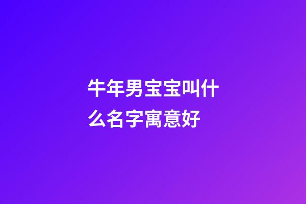 牛年男宝宝叫什么名字寓意好