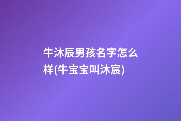 牛沐辰男孩名字怎么样(牛宝宝叫沐宸)