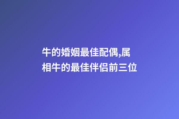 牛的婚姻最佳配偶,属相牛的最佳伴侣前三位-第1张-观点-玄机派