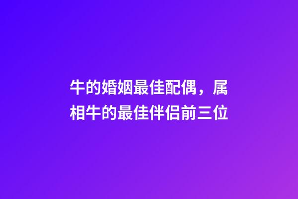牛的婚姻最佳配偶，属相牛的最佳伴侣前三位-第1张-观点-玄机派