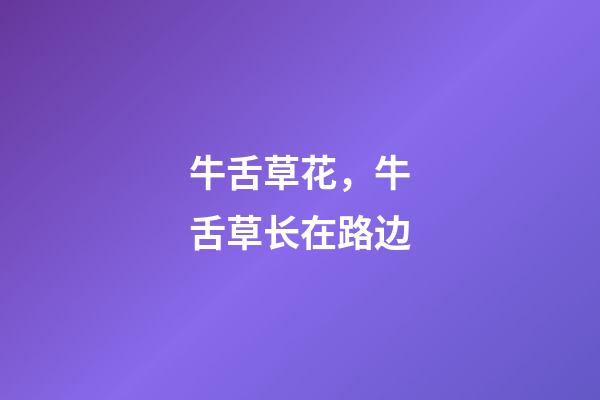 牛舌草花，牛舌草长在路边-第1张-观点-玄机派