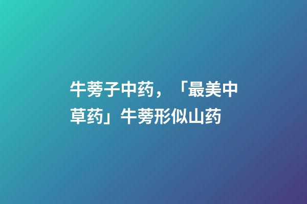 牛蒡子中药，「最美中草药」牛蒡形似山药-第1张-观点-玄机派