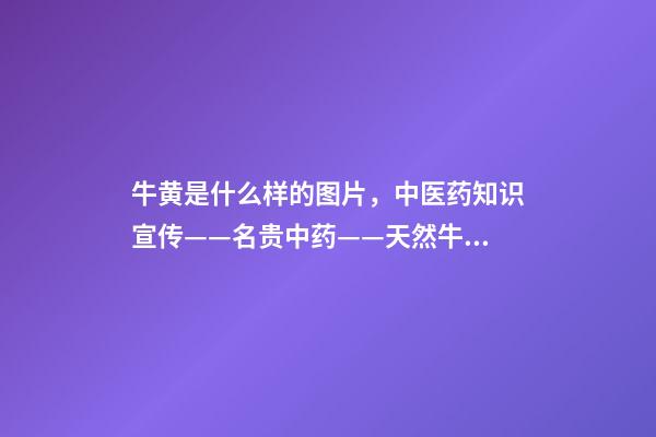 牛黄是什么样的图片，中医药知识宣传——名贵中药——天然牛黄-第1张-观点-玄机派