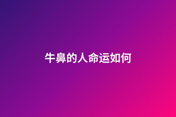 牛鼻的人命运如何