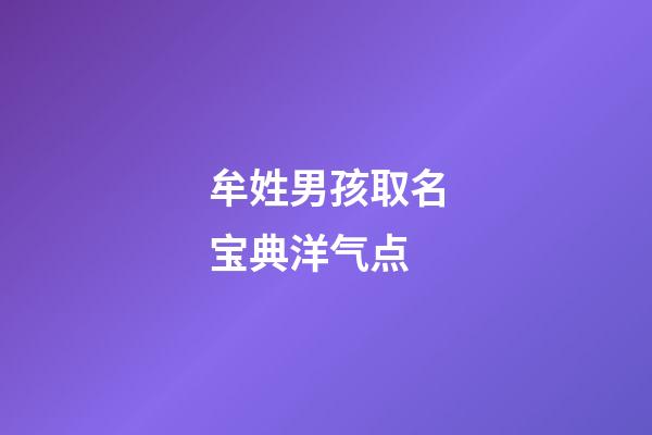 牟姓男孩取名宝典洋气点