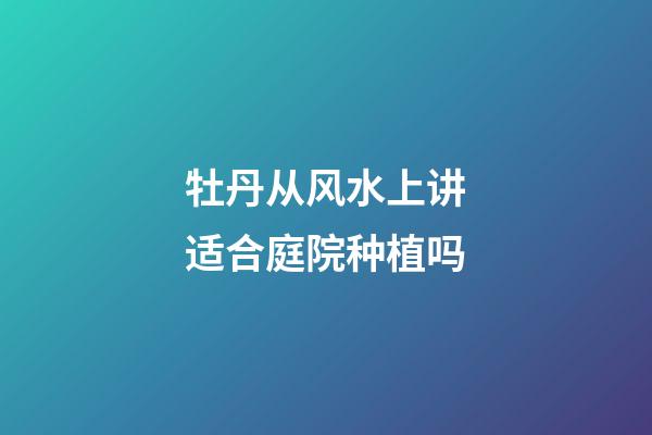 牡丹从风水上讲适合庭院种植吗