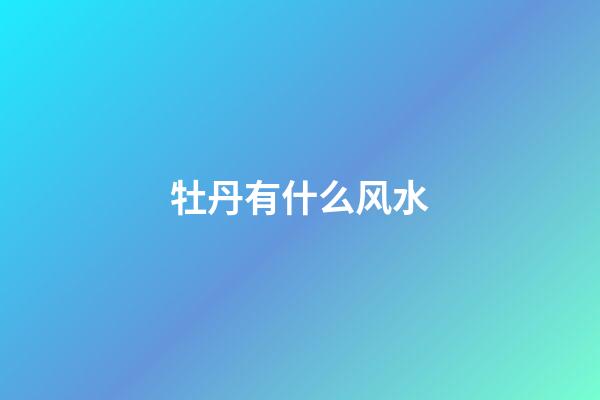 牡丹有什么风水