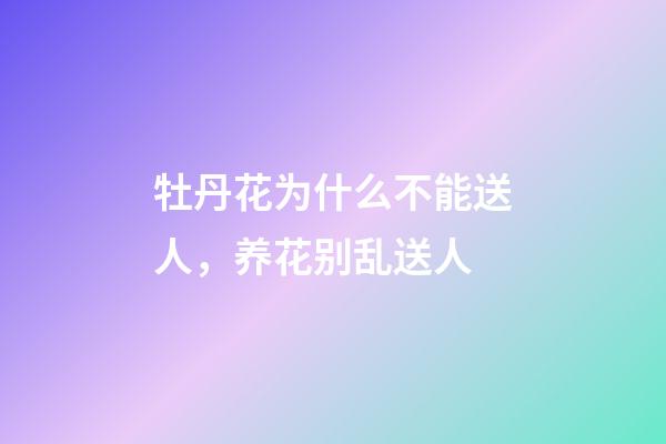 牡丹花为什么不能送人，养花别乱送人-第1张-观点-玄机派