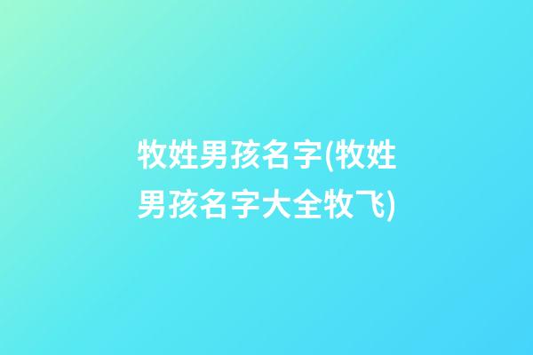 牧姓男孩名字(牧姓男孩名字大全牧飞)