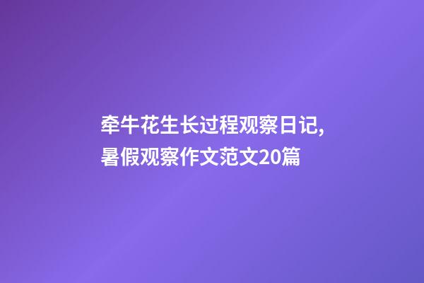 牵牛花生长过程观察日记,暑假观察作文范文20篇-第1张-观点-玄机派