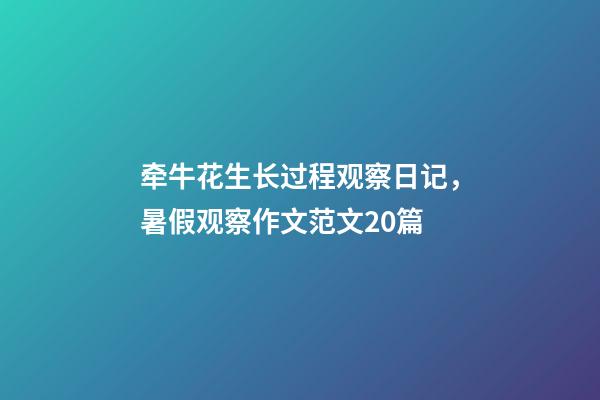 牵牛花生长过程观察日记，暑假观察作文范文20篇-第1张-观点-玄机派