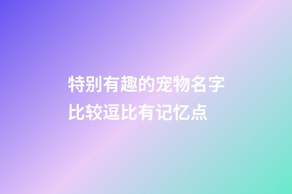 特别有趣的宠物名字比较逗比有记忆点