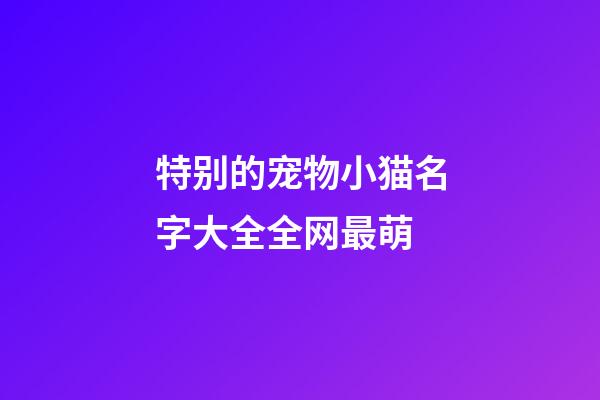特别的宠物小猫名字大全全网最萌