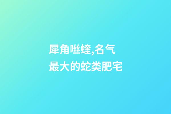 犀角咝蝰,名气最大的蛇类肥宅-第1张-观点-玄机派