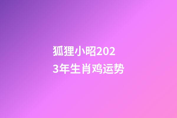 狐狸小昭2023年生肖鸡运势