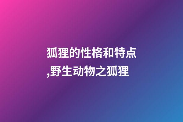 狐狸的性格和特点,野生动物之狐狸-第1张-观点-玄机派