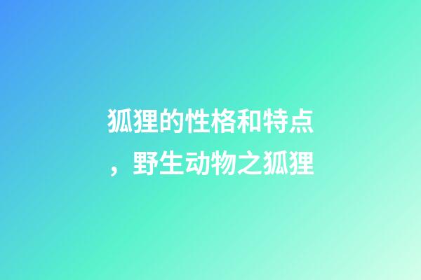 狐狸的性格和特点，野生动物之狐狸-第1张-观点-玄机派