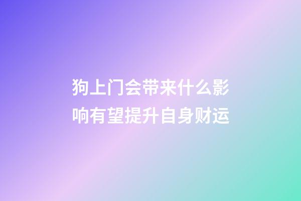 狗上门会带来什么影响?有望提升自身财运
