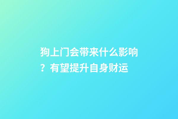 狗上门会带来什么影响？有望提升自身财运