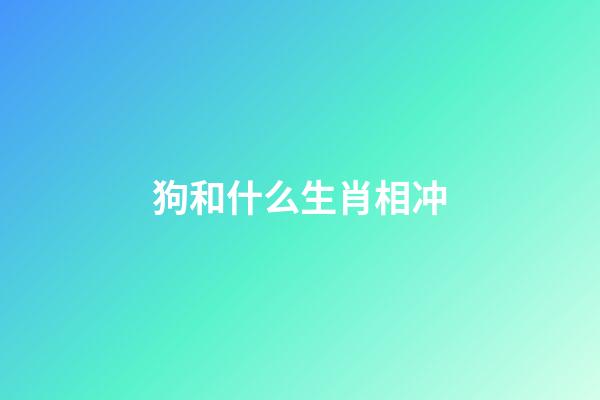 狗和什么生肖相冲