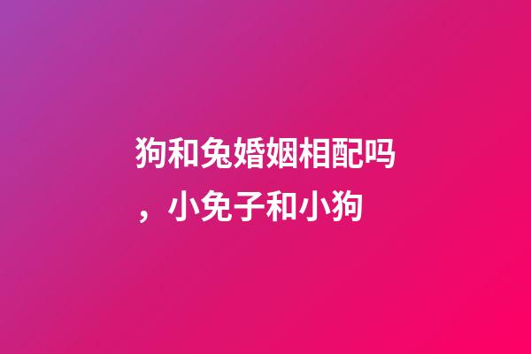 狗和兔婚姻相配吗，小免子和小狗-第1张-观点-玄机派