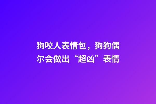 狗咬人表情包，狗狗偶尔会做出“超凶”表情-第1张-观点-玄机派