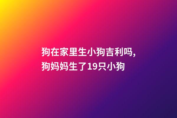 狗在家里生小狗吉利吗,狗妈妈生了19只小狗-第1张-观点-玄机派
